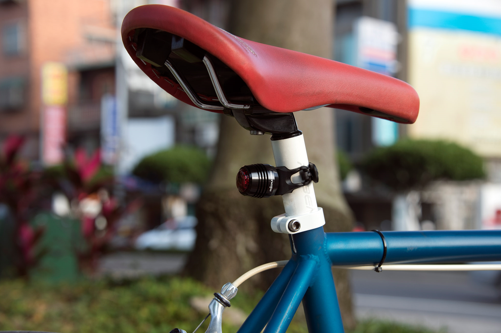 Biologic Revue Front Rear