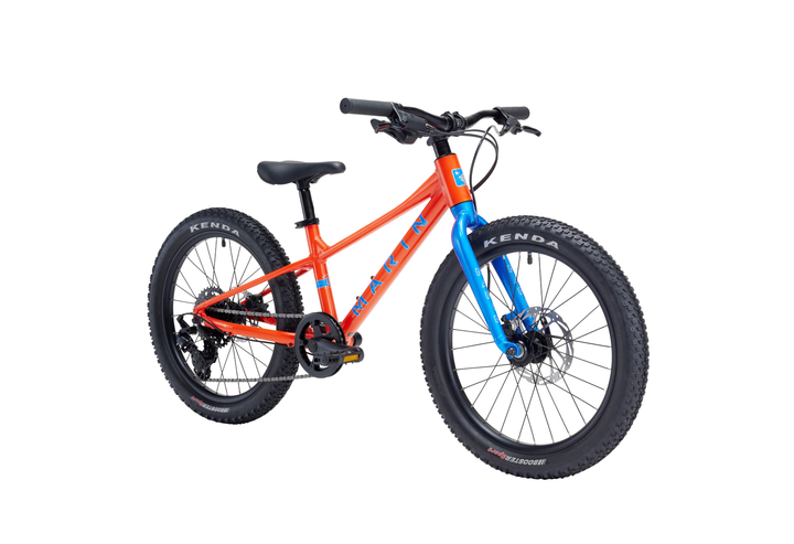 Marin Bear Valley 20" City Bike (6-9 Jahre)