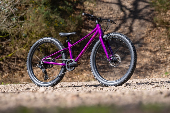 Marin Bear Valley 24