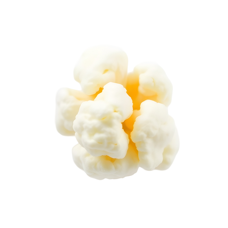 Close-up of a piece of a single popcorn