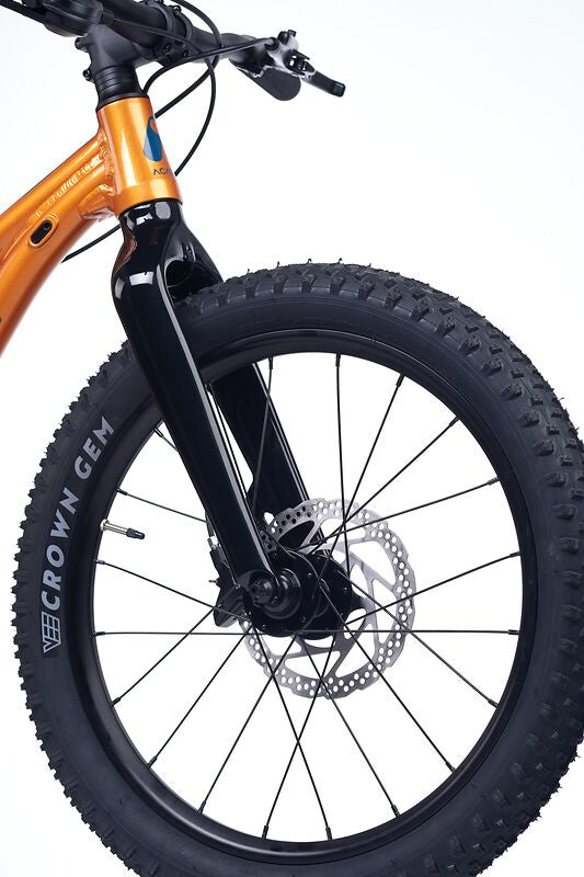 Academy Trail 4 R 20" Mountainbike (6-8 Jahre)