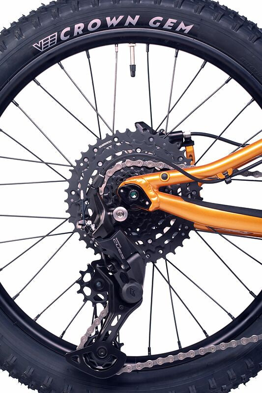 Academy Trail 4 R 20" Mountainbike (6-8 Jahre)