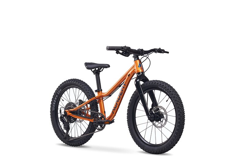 Academy Trail 4 R 20" Mountainbike (6-8 Jahre)