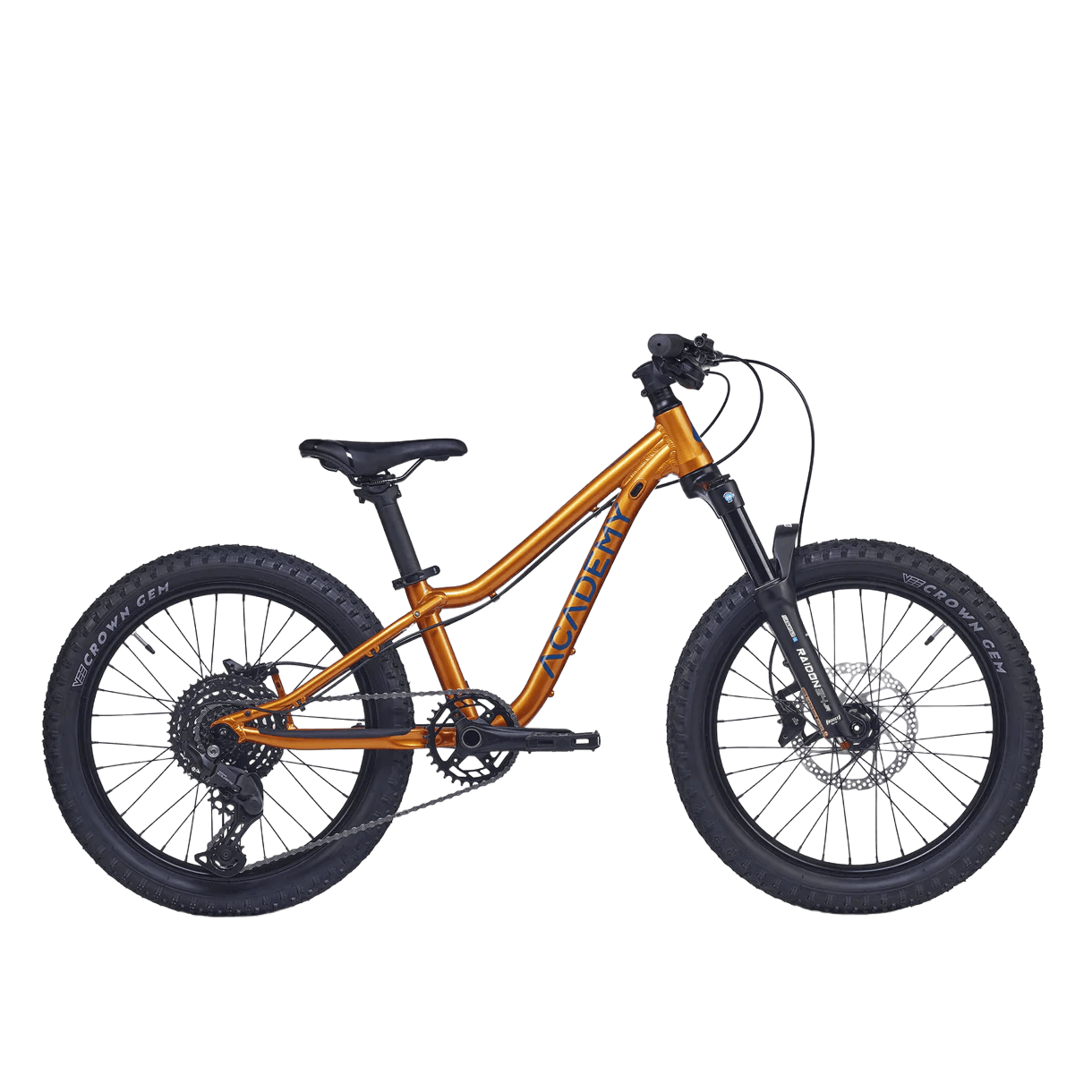 Academy Trail 4 R 20" Mountainbike (6-8 Jahre)