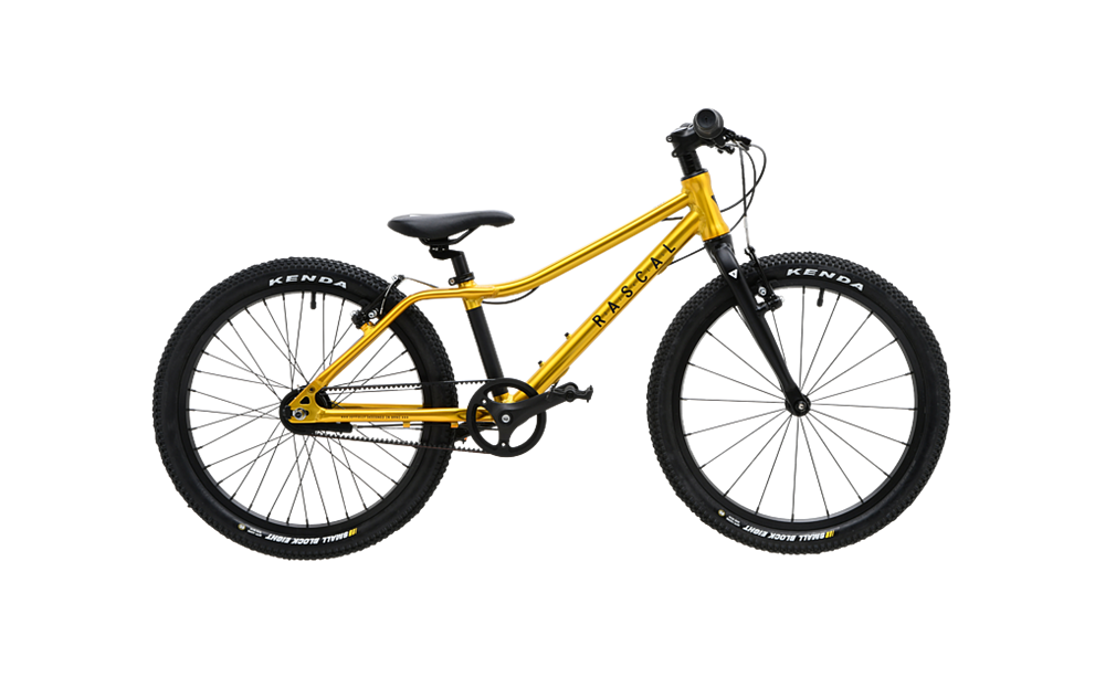 RASCAL 20" All-Rounder (6-8 Jahre) Gold
