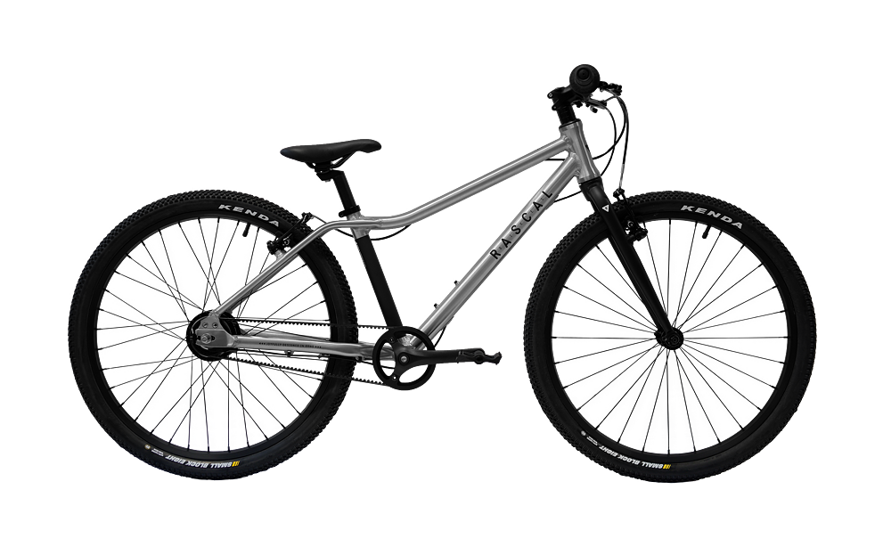 RASCAL 24" (8-11 Jahre) Titanium