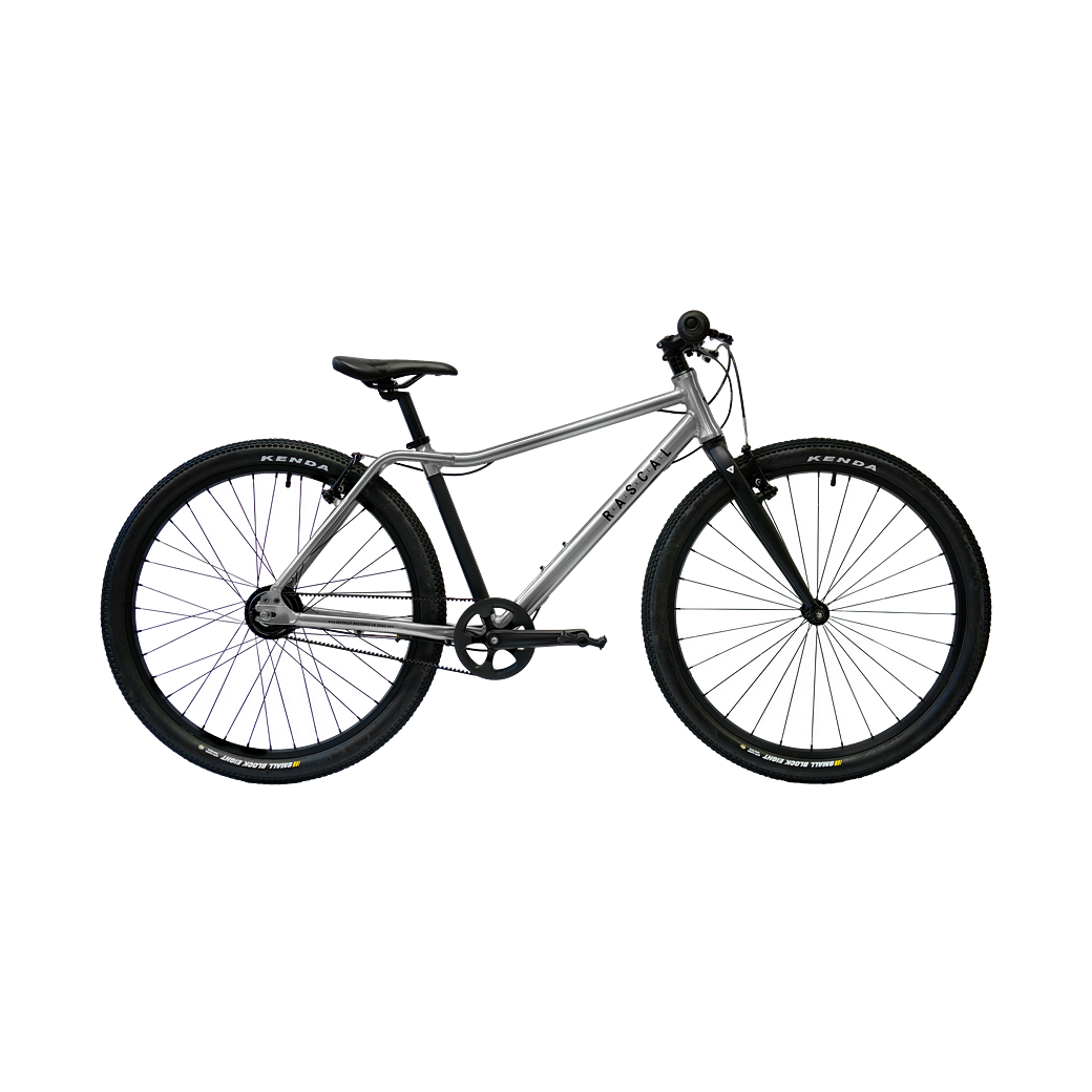 RASCAL 26" (10-14 Jahre) Titanium